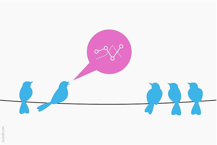 monitorare-social-network-twitter
