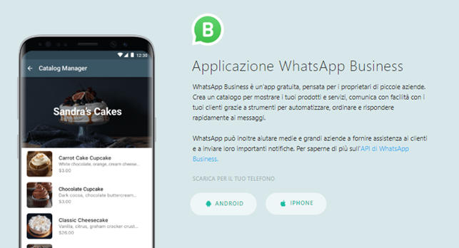 applicazione whatsapp business